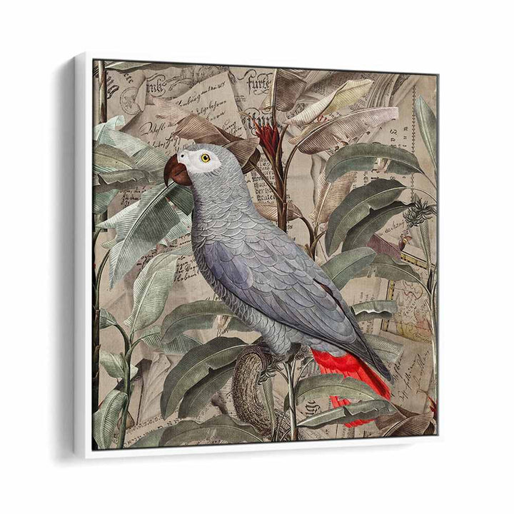 VINTAGE TROPICAL GREY PARROT