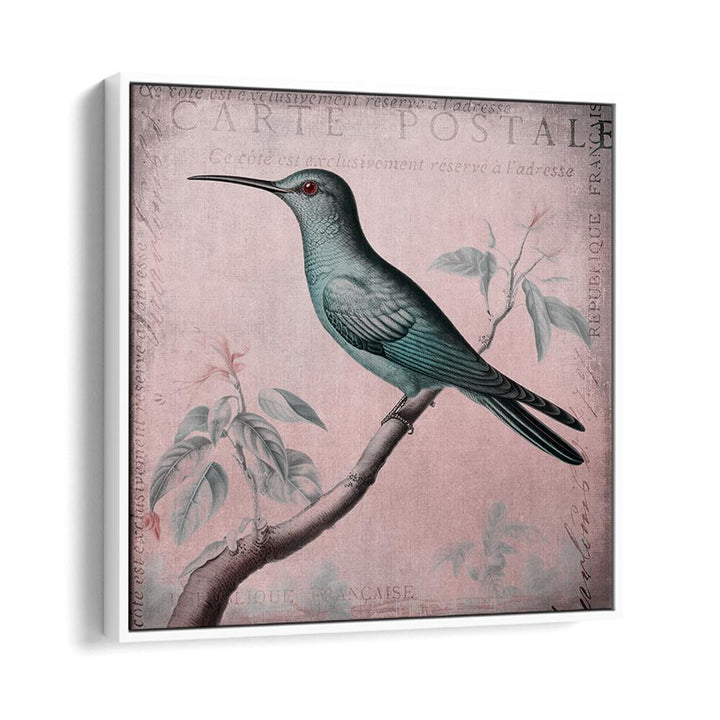 HUMMINGBIRD ROMANCE PASTEL PINK II BY ANDREA HAASE , WILDLIFE POSTERS, WILDLIFE PAINTINGS