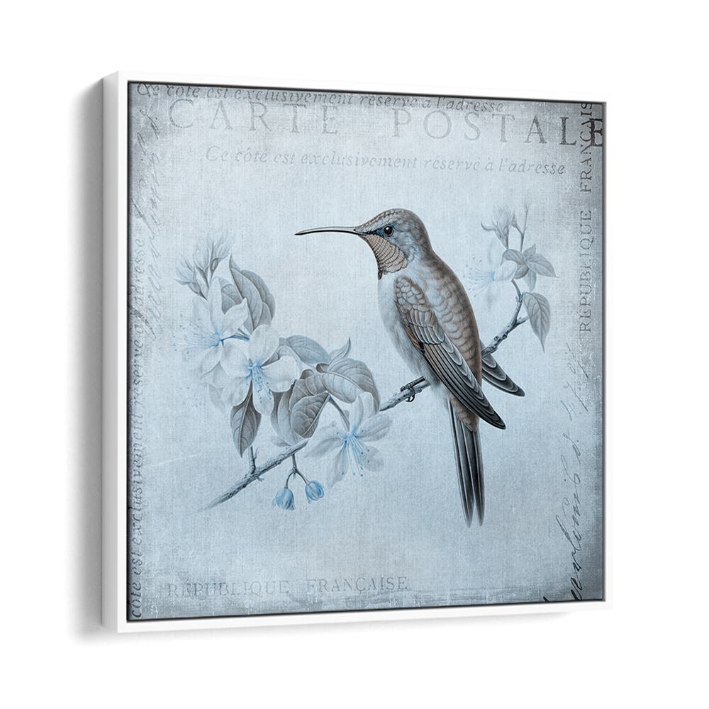 HUMMINGBIRD  ROMANCE AQUA BLUE BY ANDREA HAASE , WILDLIFE POSTERS, WILDLIFE PAINTINGS