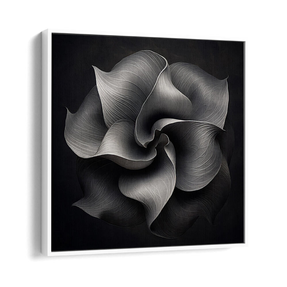 BLACK AND WHITE FLOWER V , ORGANIC FORMS