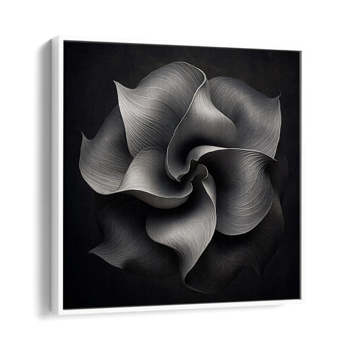 BLACK AND WHITE FLOWER V , ORGANIC FORMS