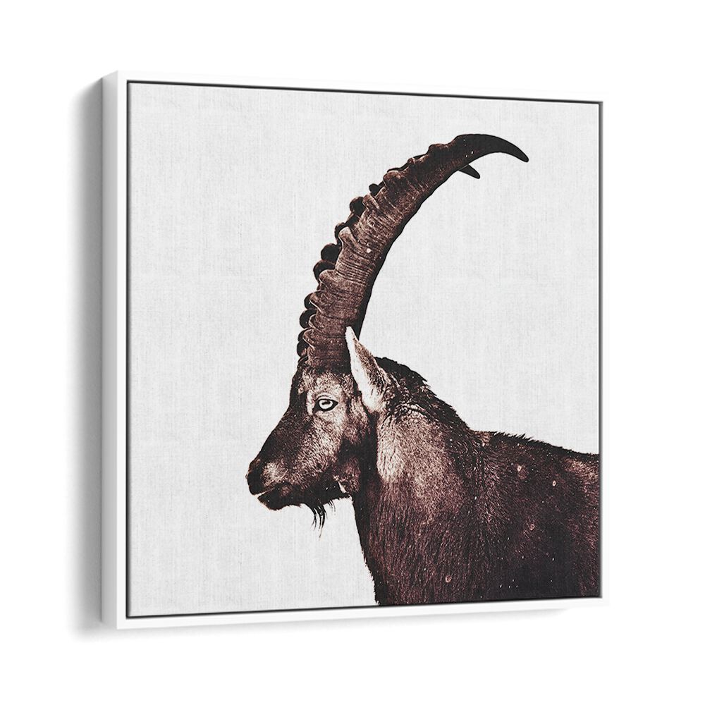 Majestic Capricorn in Snow, an exquisite animal painting showcasing wildlife beauty in serene decor.