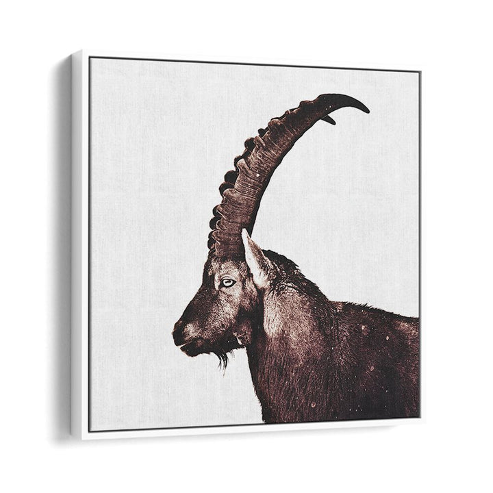 Majestic Capricorn in Snow, an exquisite animal painting showcasing wildlife beauty in serene decor.
