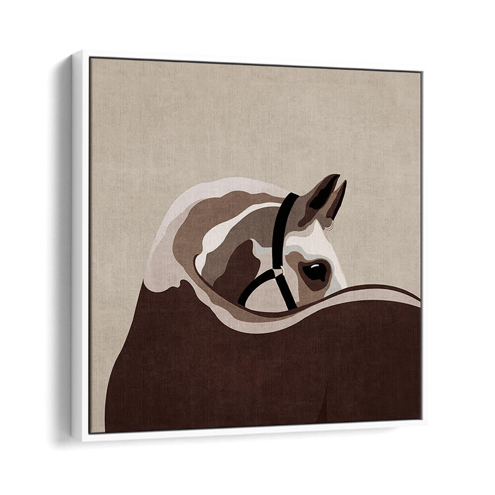 GENTLE EQUINE CURVE