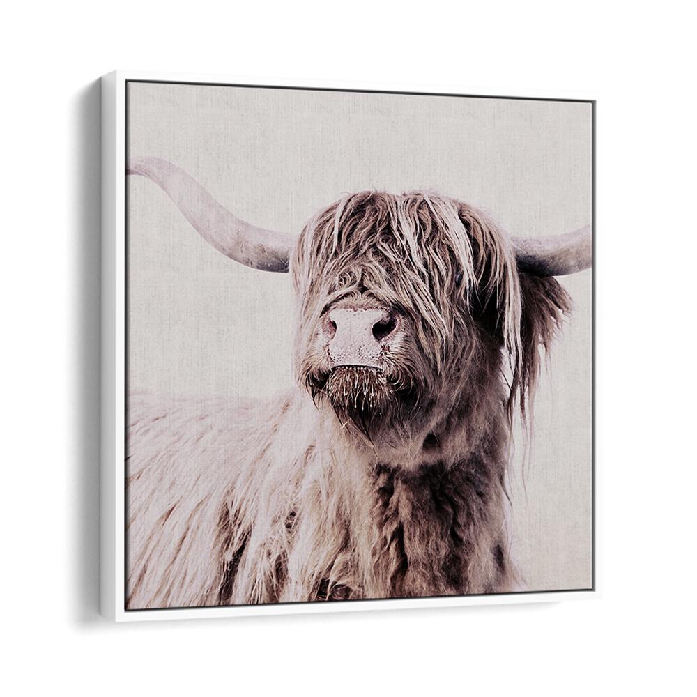Highland Cattle Animal Paintings showcase stunning wildlife detail, perfect for art lovers and home decor enthusiasts.