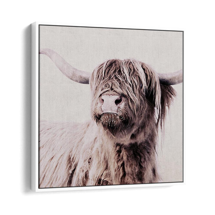Highland Cattle Animal Paintings showcase stunning wildlife detail, perfect for art lovers and home decor enthusiasts.