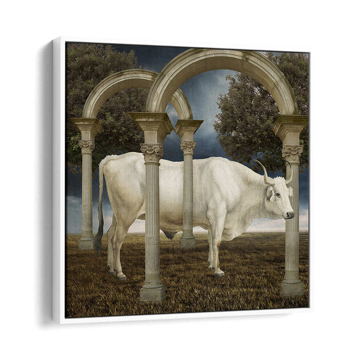 ILLUSIONNISME DE LA VACHE