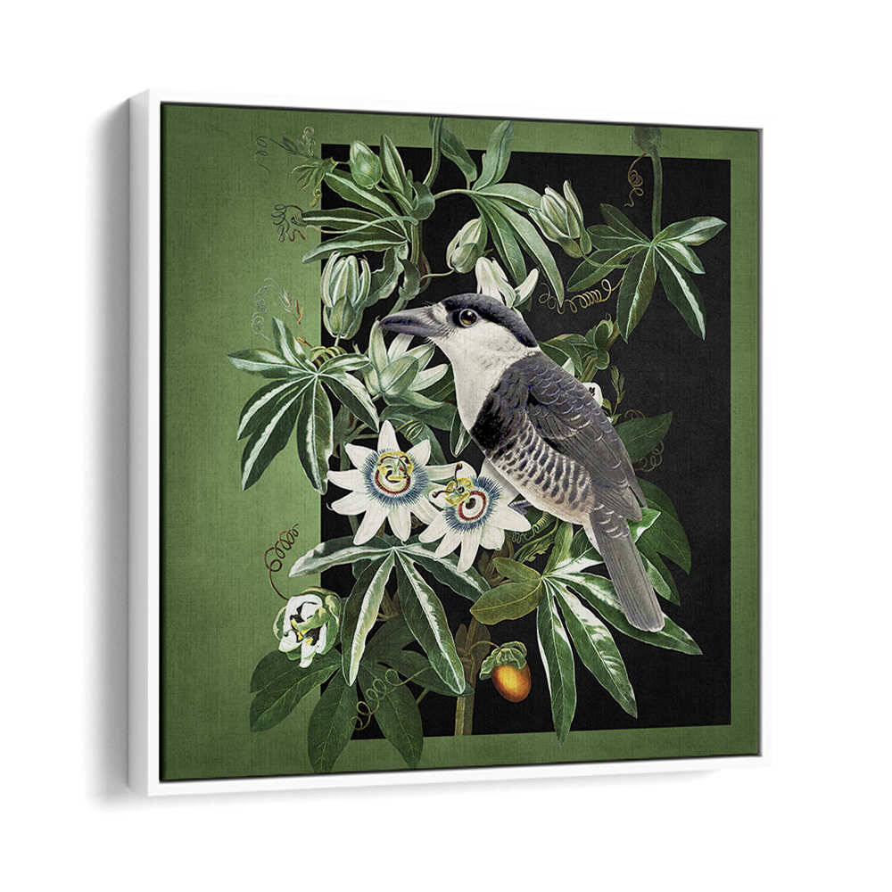 L'OISEAU ET LA PASSIFLORE