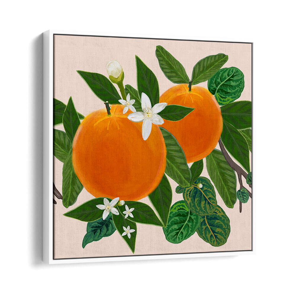 ORANGES , KITCHEN POSTERS