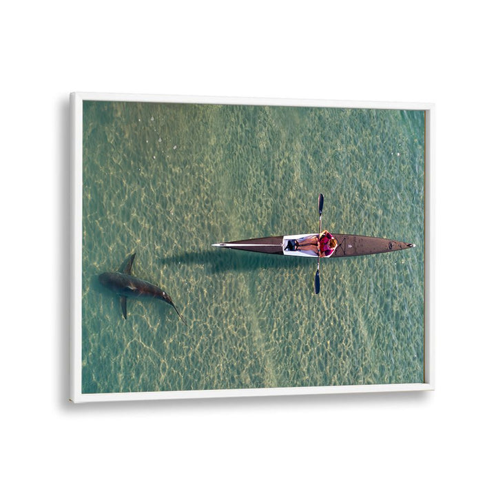 PHOTOGRAPHY painting - SHARK KAYAKING BY IDO MEIROVICH by Asianmonk