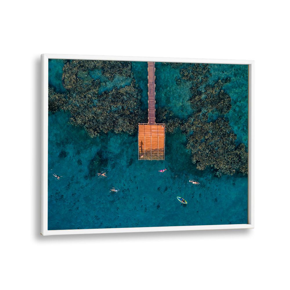 PHOTOGRAPHY painting - CORAL ESCAPE BY IDO MEIROVICH by Asianmonk