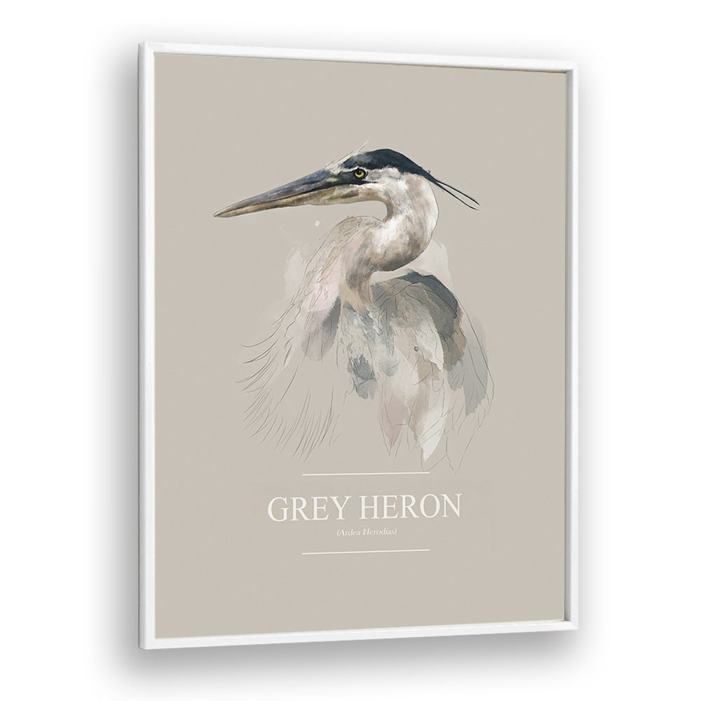 Ohara Koson painting - GREY HERON by Asianmonk