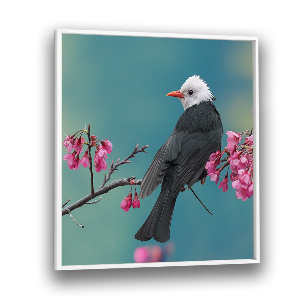 surreal painting - WHITE-HEADED BLACK BULBUL by Asianmonk