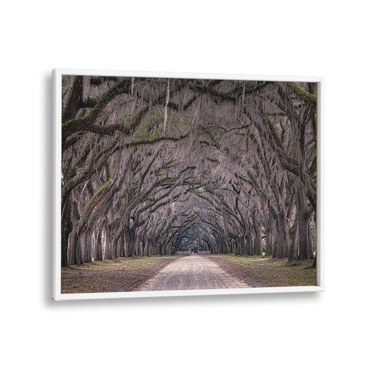 ABSTRACT painting - OAKS AVENUE by Asianmonk