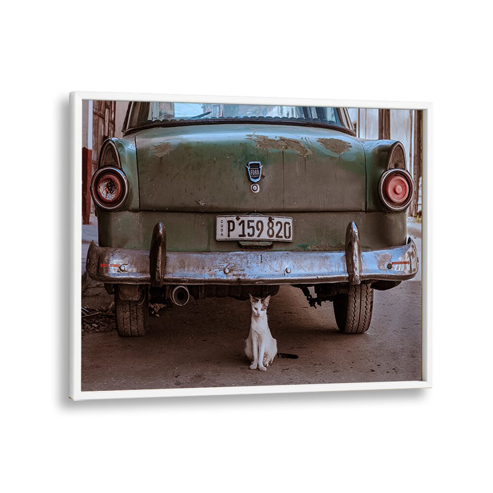 ABSTRACT painting - CUBAN CAT WITH CAR by Asianmonk