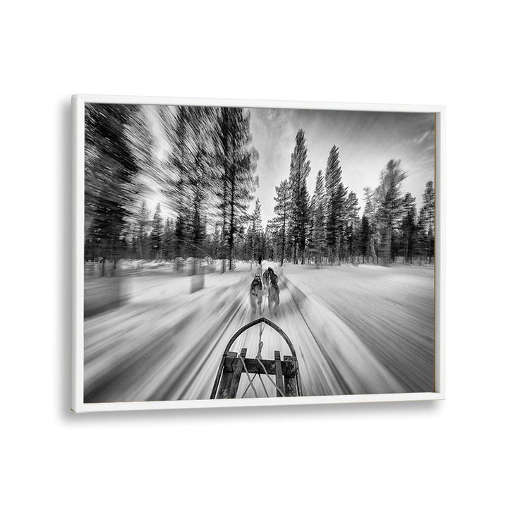 PHOTOGRAPHY painting - DOGSLEDDING BY IDO MEIROVICH by Asianmonk