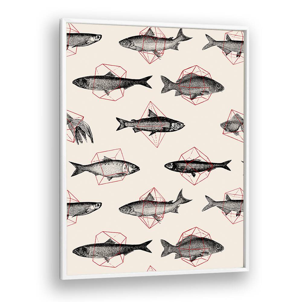 FISHES IN GEOMETRICS BY FLORENT BODART, WILDLIFE ART PRINTS