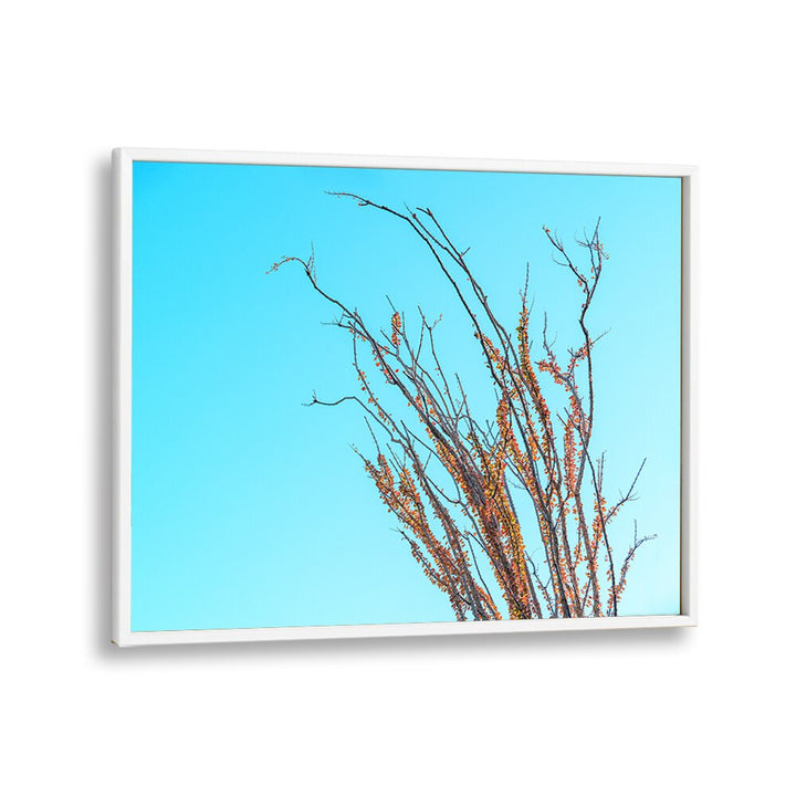 ABSTRACT painting - OCOTILLO IN THE FALL by Asianmonk