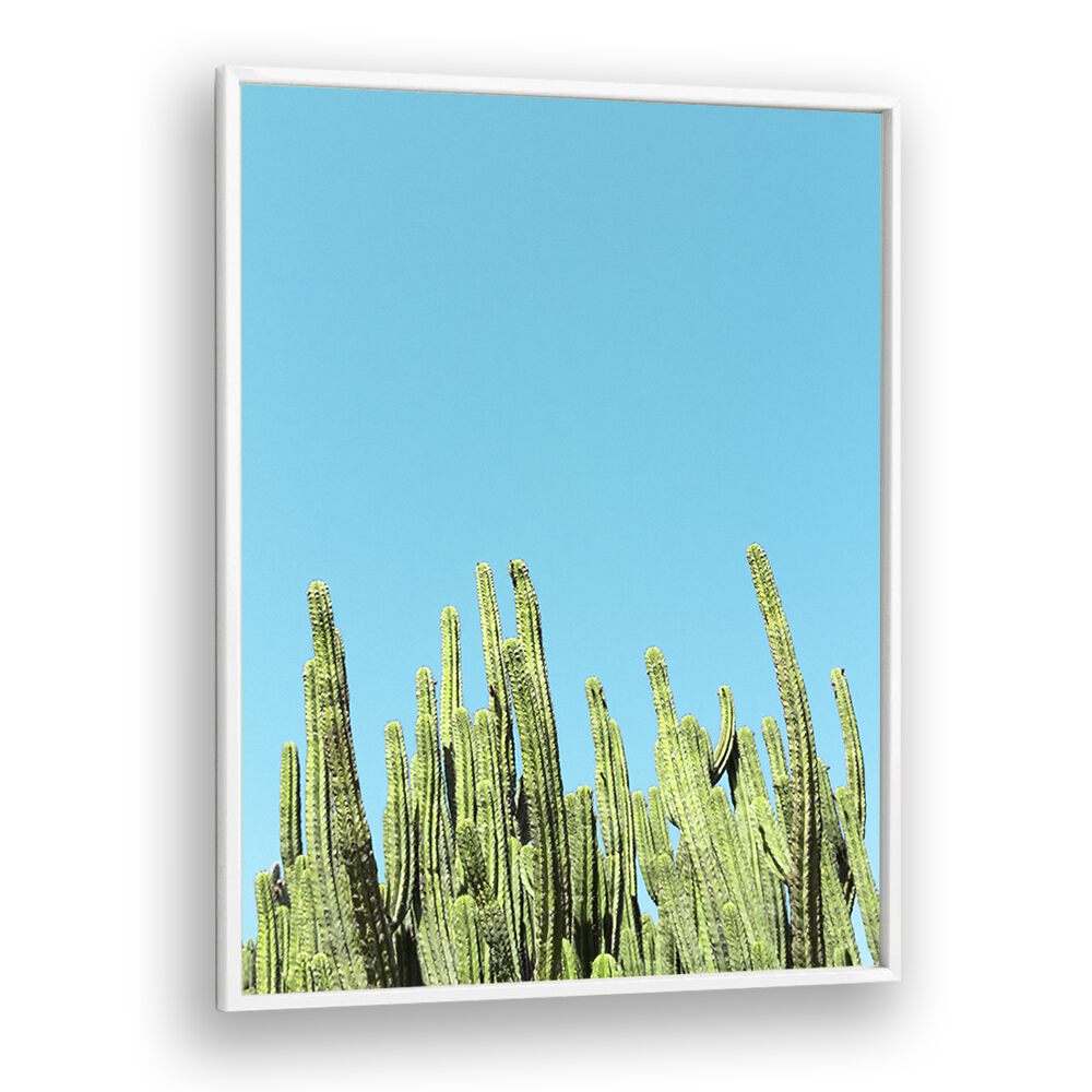 surreal painting - CACTUS REACHING FOR THE SKY by Asianmonk