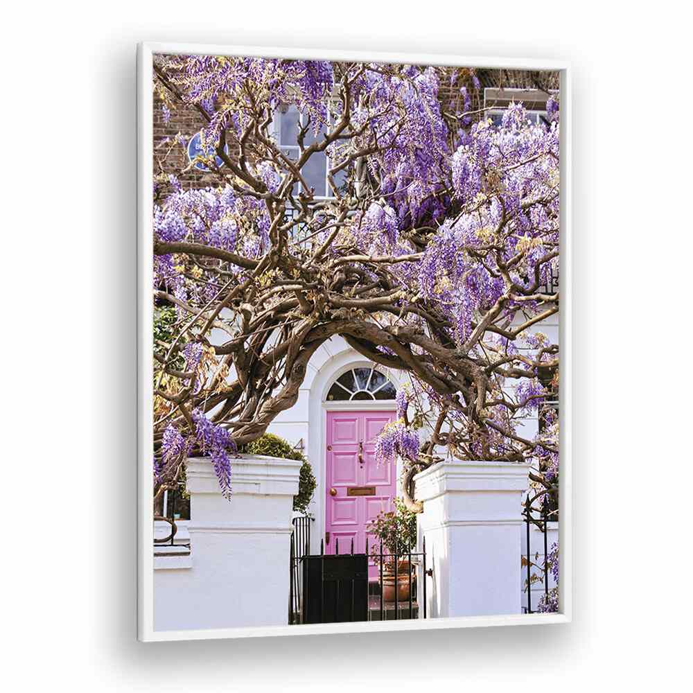 WISTERIA DREAMS , STREET PHOTOGRAPHY ART PRINTS