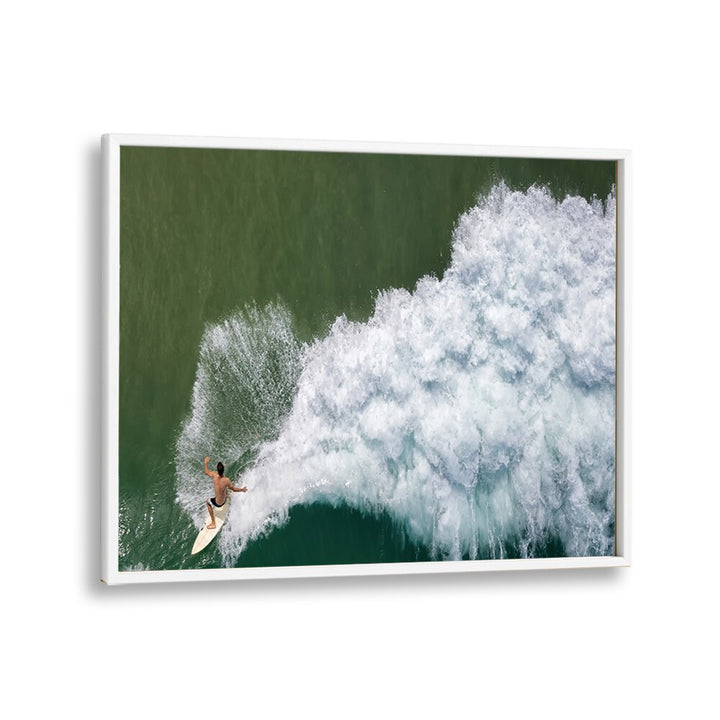 PHOTOGRAPHY painting - SURFING ROOSTER BY IDO MEIROVICH by Asianmonk