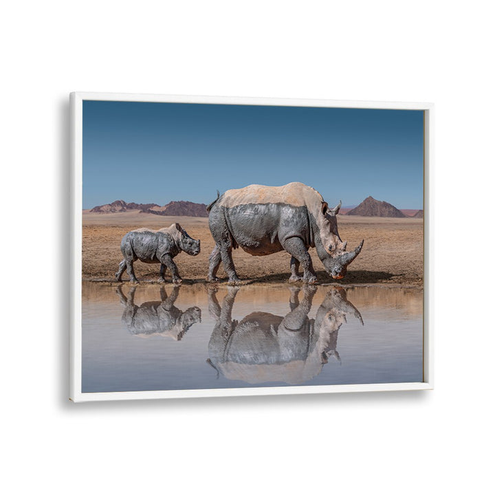 Majestic rhinos stroll by a serene waterhole in this stunning RHINOS WALK, PHOTOGRAPHY PRINTS collection.