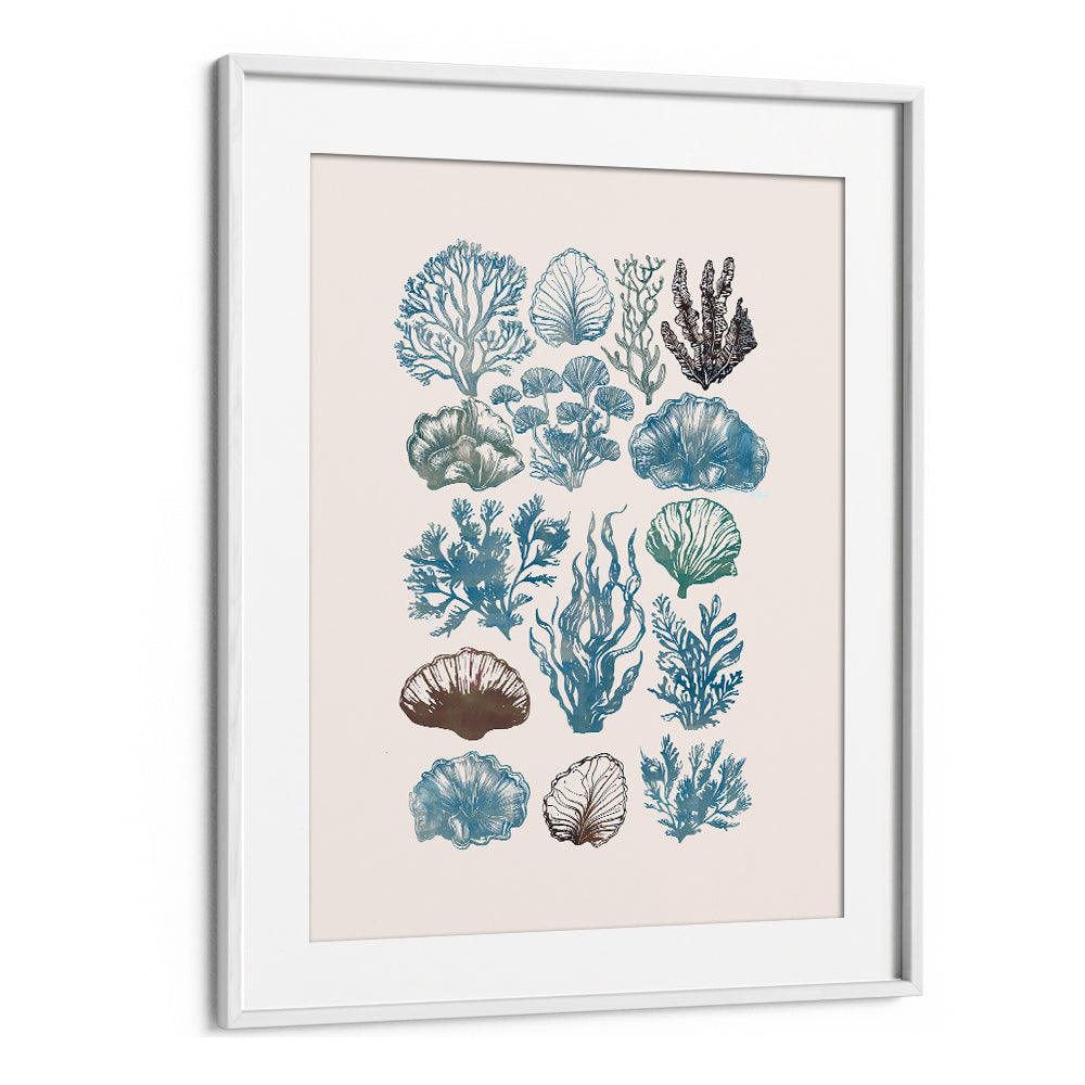 Elegant wall art featuring A CORAL COLLECTION, BEACH PAINTINGS, perfect for coastal-inspired decor.