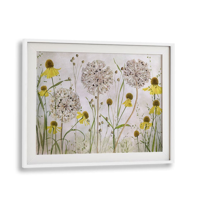 Vibrant ALLIUMS AND HELENIUMS, FLORAL FLOWER PAINTINGS enhancing any space with stunning colors and textures.