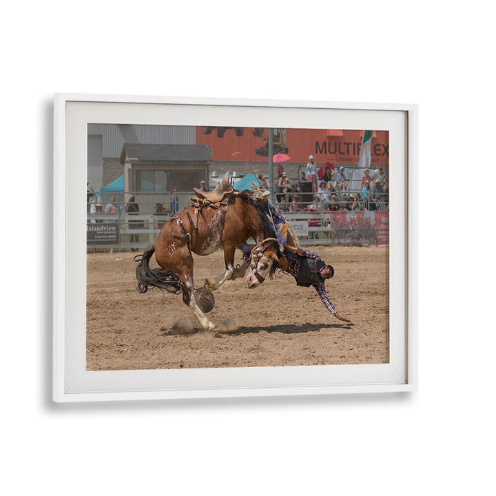 Dynamic rodeo action captured in BATTLE, PHOTOGRAPHY PRINTS showcasing intense moments and raw energy.