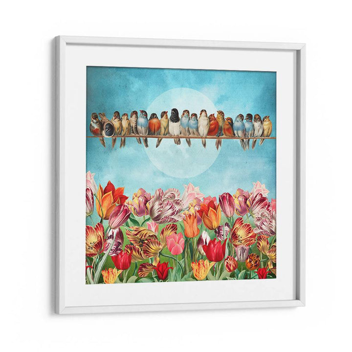 BIRDS OVER TULIP GARDEN