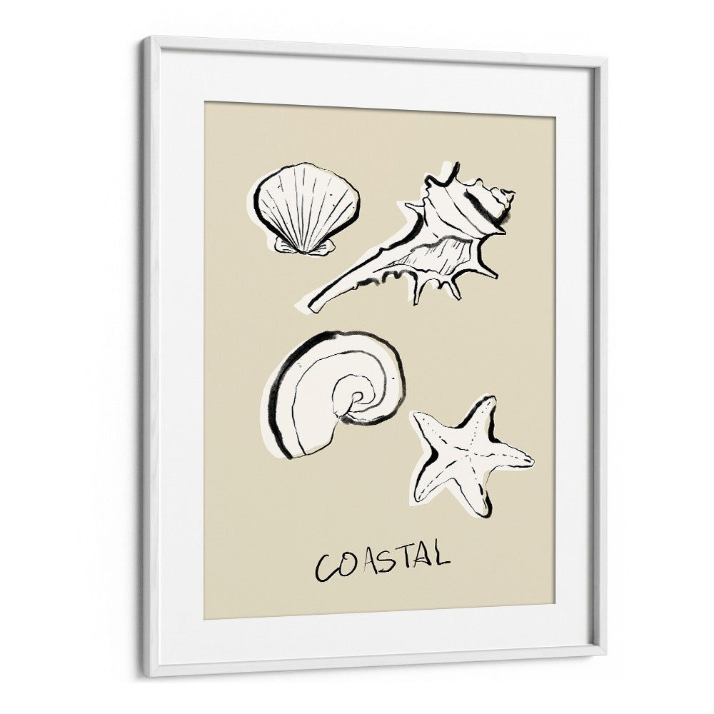 COASTAL SHELLS AND STARFISH