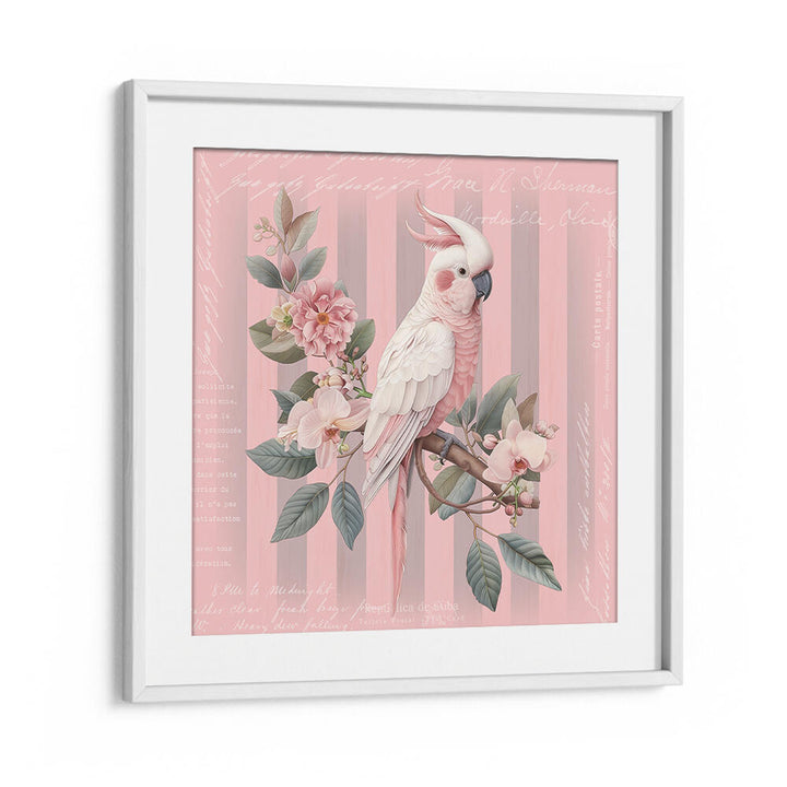 COCKATOO PASTEL PINK , ANIMAL PAINTINGS