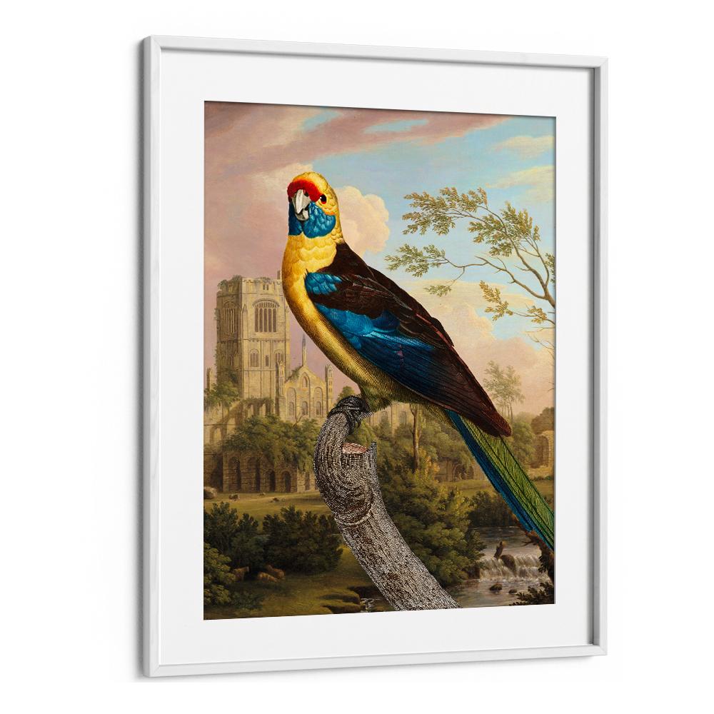 COLORFUL PARROT RUINS