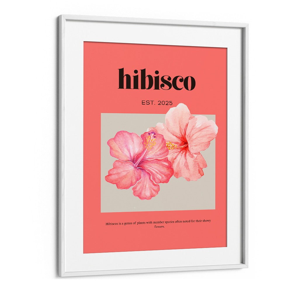 DELICATE PINK HIBISCUS