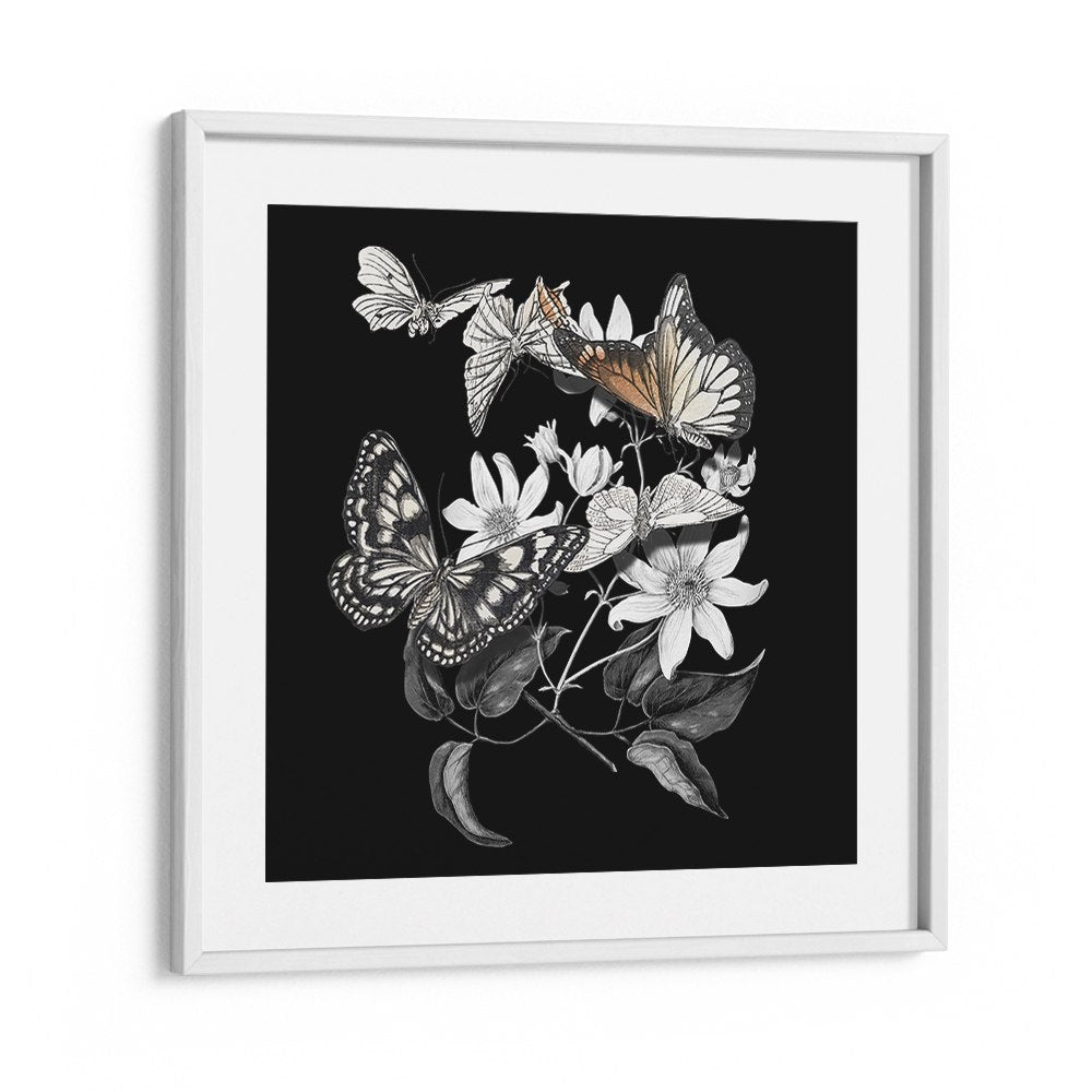 ELEGANT BOTANICAL BUTTERFLIES