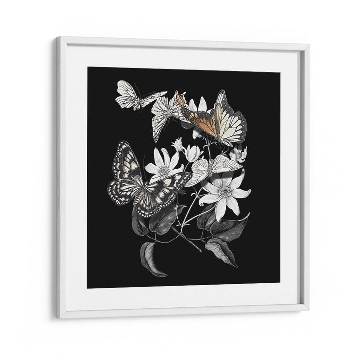 ELEGANT BOTANICAL BUTTERFLIES