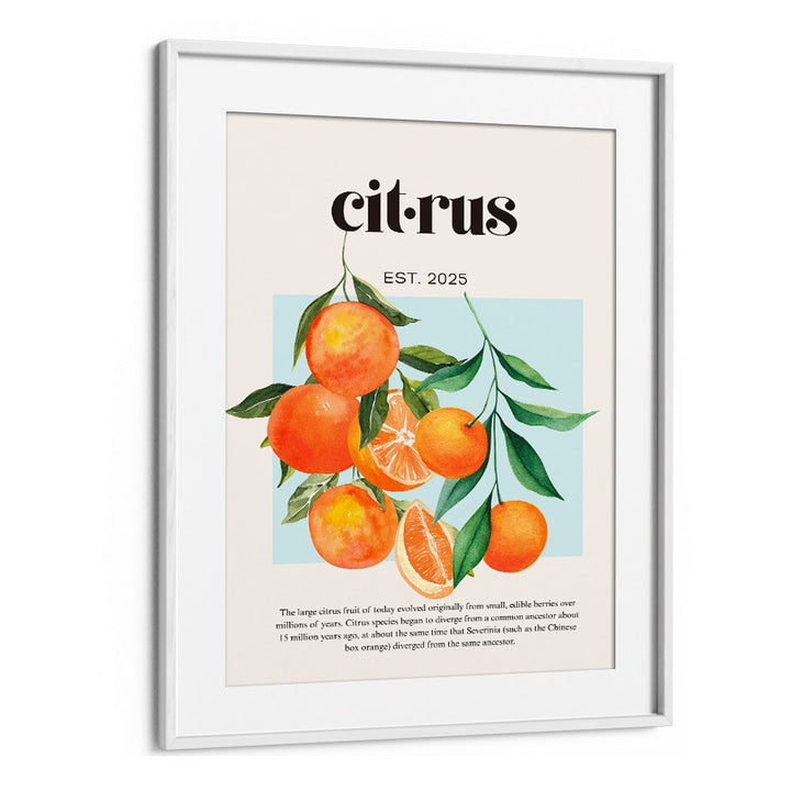 FRESH WATERCOLOR CITRUS