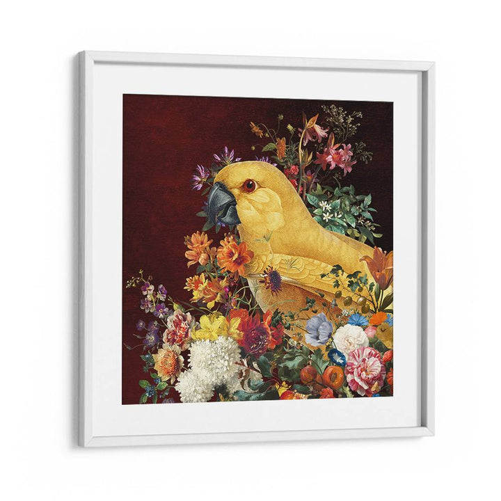 GOLDEN PARROT BLOOM