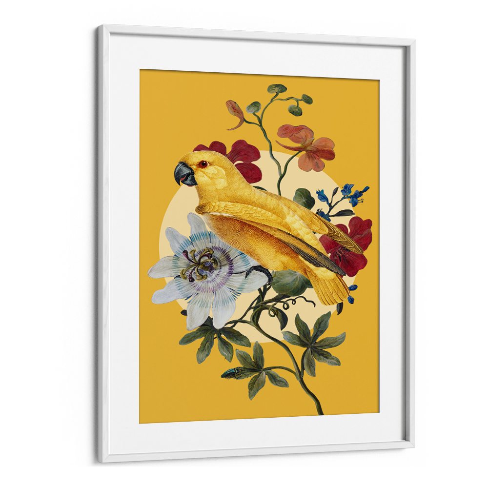 GOLDEN PARROT PASSION FLOWER