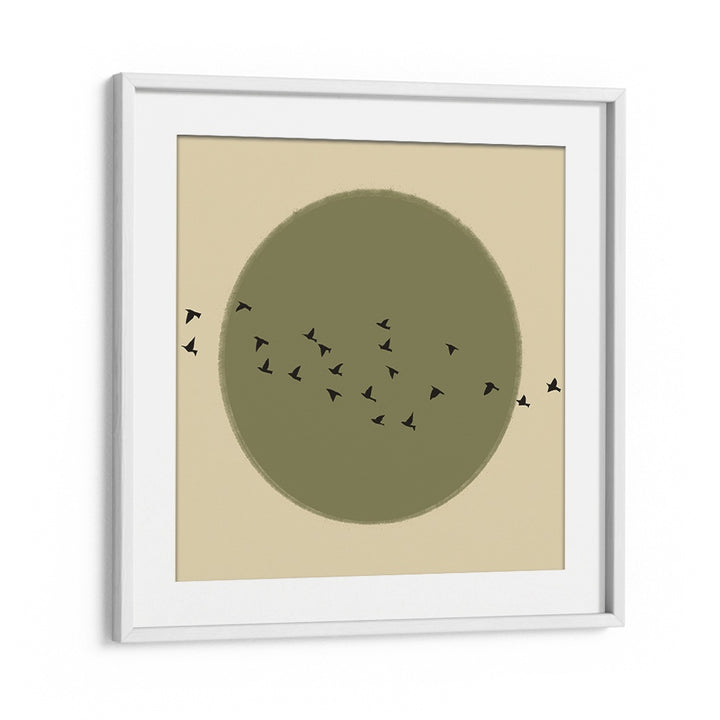 GRACEFUL BIRDS SOARING