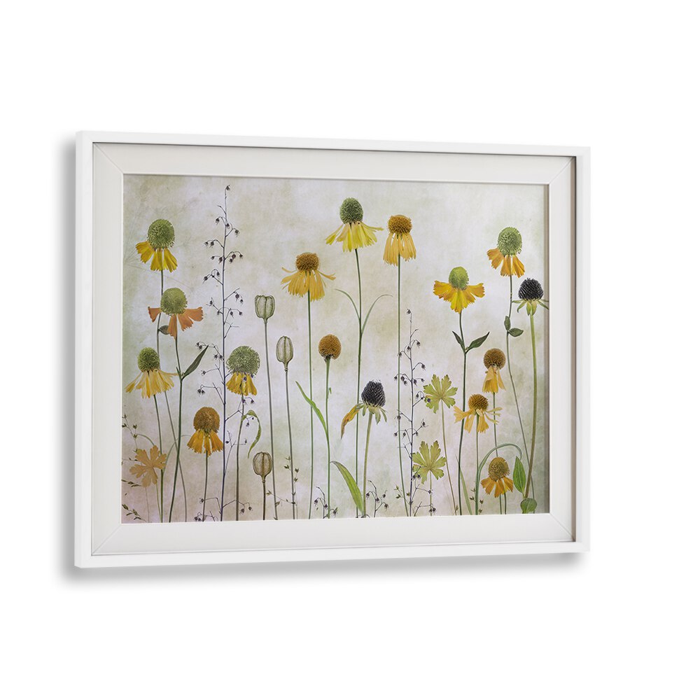 Stunning HELENIUM, FLORAL FLOWER PAINTINGS featuring vibrant yellow blooms, perfect for elegant home decor.