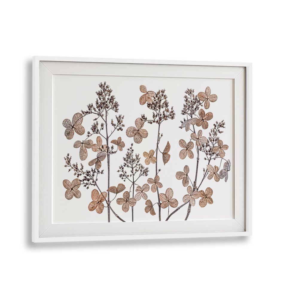 Stunning HYDRANGEA PANICULATA, FLORAL FLOWER PAINTINGS featuring intricate floral details, perfect for home decor.
