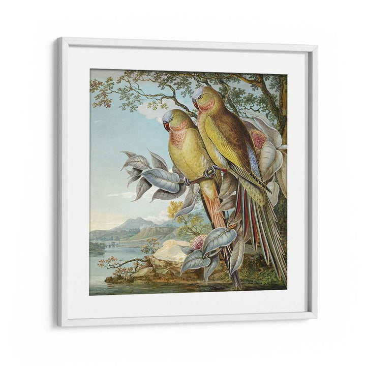PARROTS IN TROPICAL LANDSCAPE