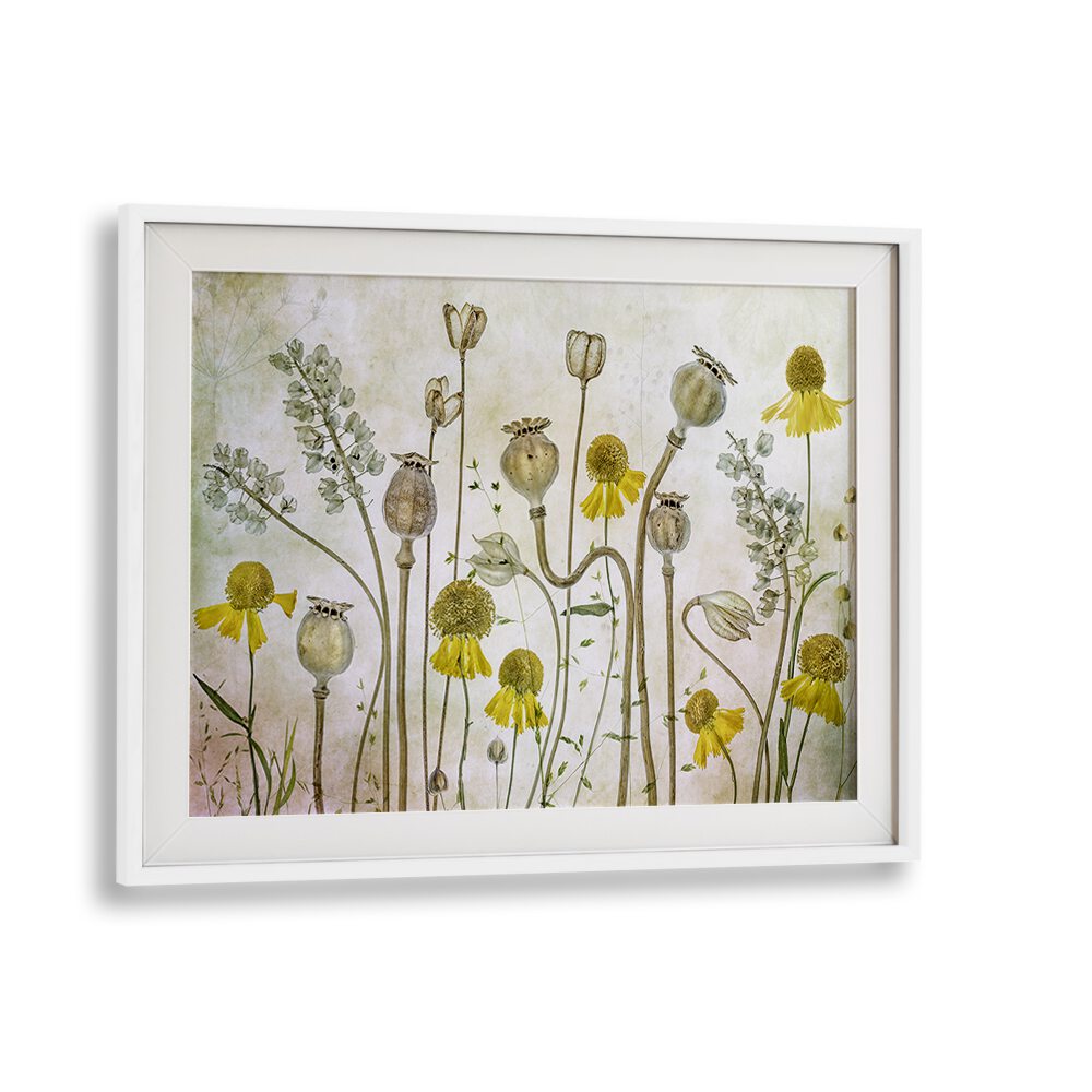 Vibrant Poppies and Helenium floral flower paintings, perfect for home decor and special events.