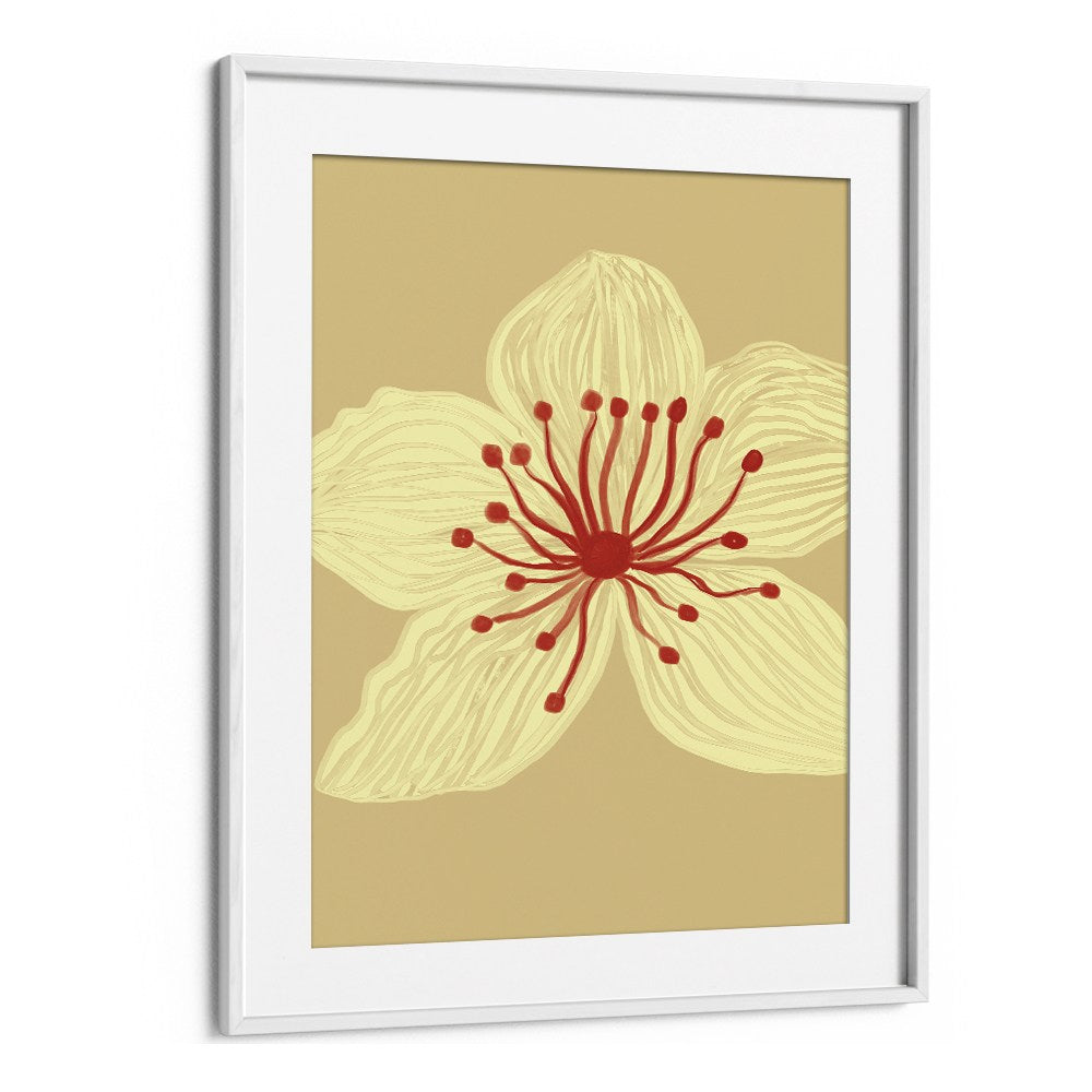 SOFT CREAM BLOSSOM