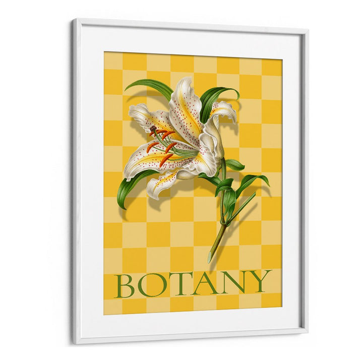 SPOTTED LILY BOTANICAL