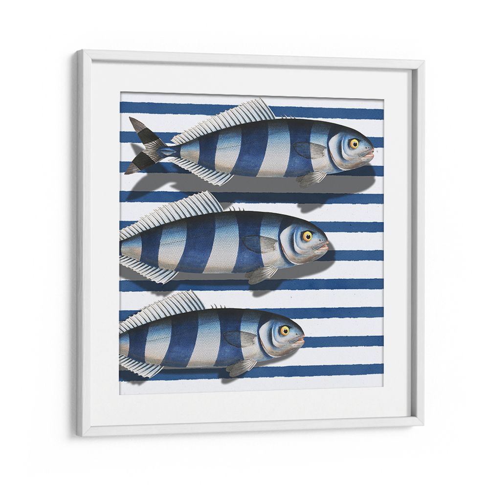 STRIPED OCEAN FISH