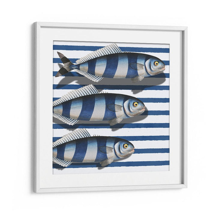 STRIPED OCEAN FISH