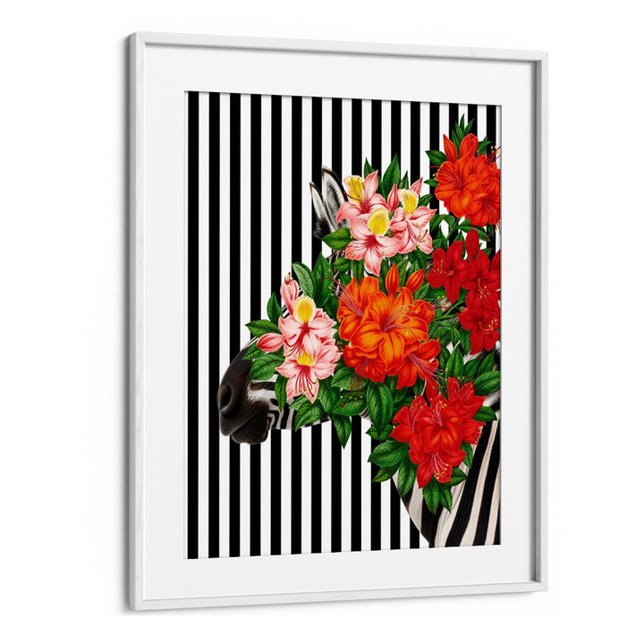TROPICAL ZEBRA BLOOM