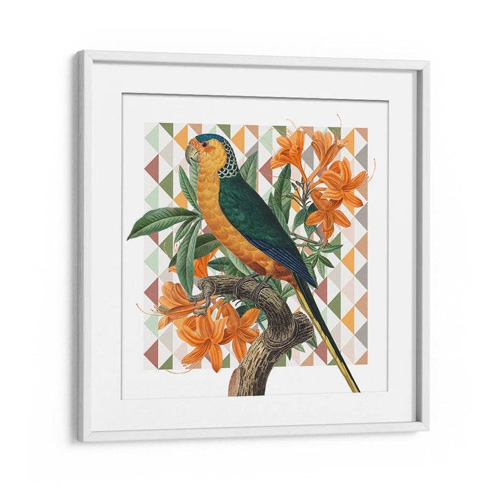 VIBRANT PARROT ILLUSTRATION
